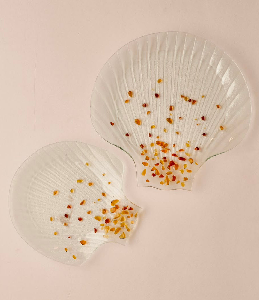 Sea shells with brown glass strips