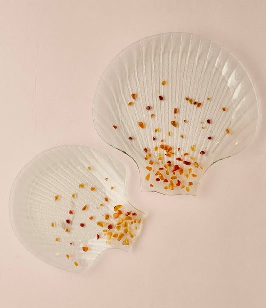 Sea shells with brown glass strips