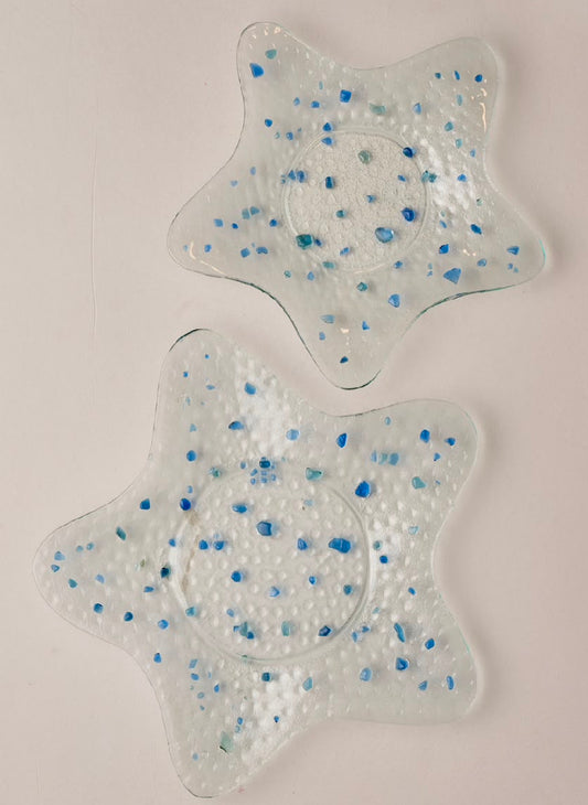 Sea shells with brown glass strips